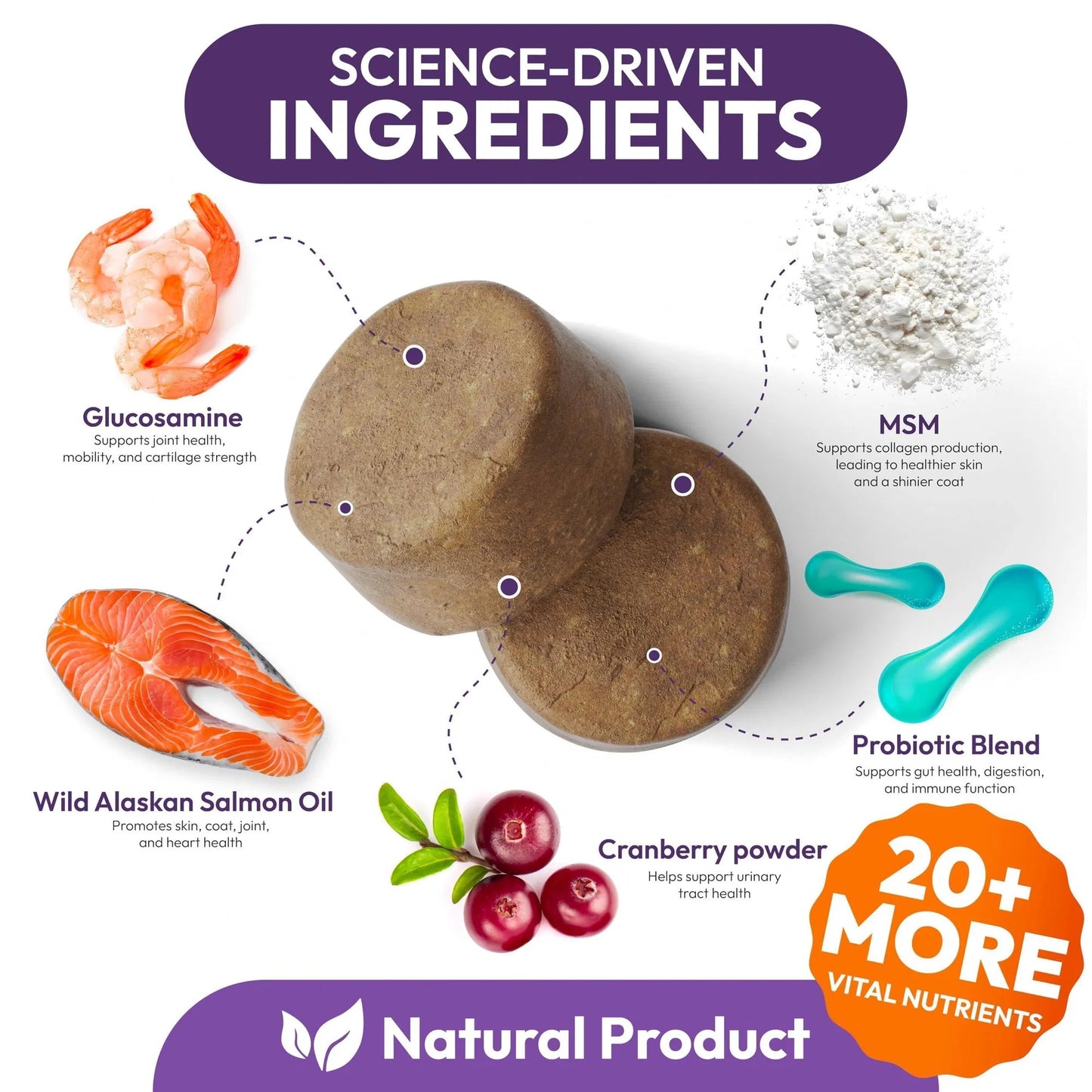 Petsology 25-in-1 Dog Multivitamin | Hip & Joint, Immune, Skin & Gut Support | 170 Chews