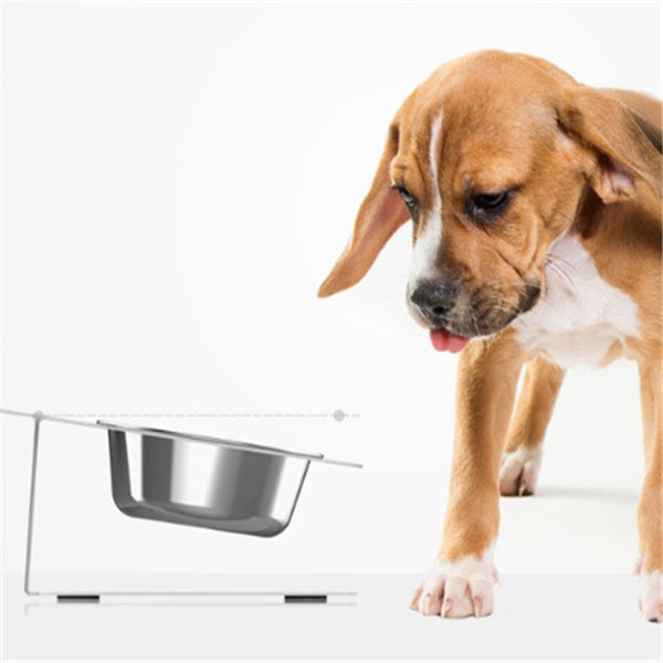 Stable Anti-Tip Stainless Steel Pet Bowl for Dogs & Cats