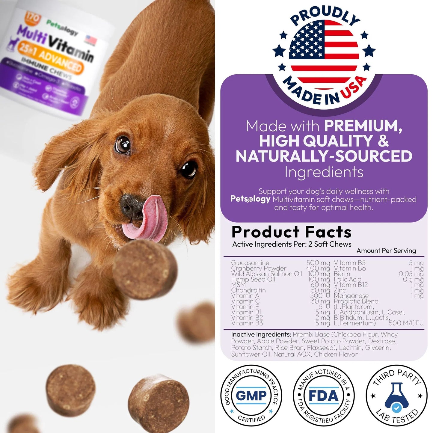 Petsology 25-in-1 Dog Multivitamin | Hip & Joint, Immune, Skin & Gut Support | 170 Chews