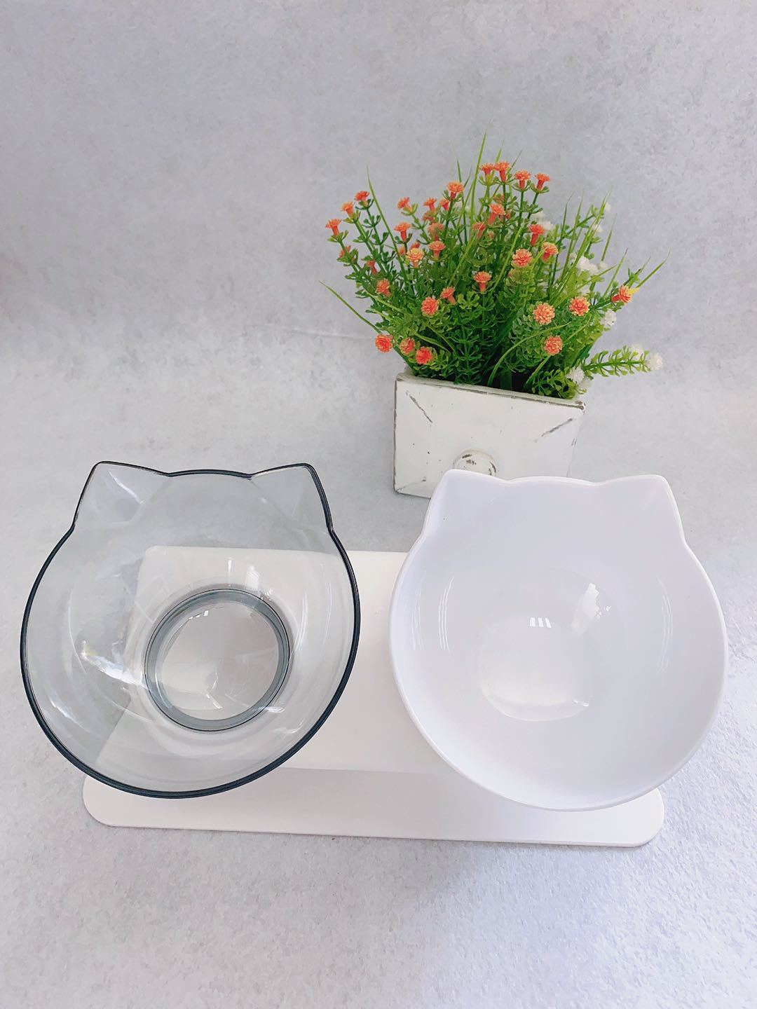 Elevated Double Bowls for Neck & Whisker Health