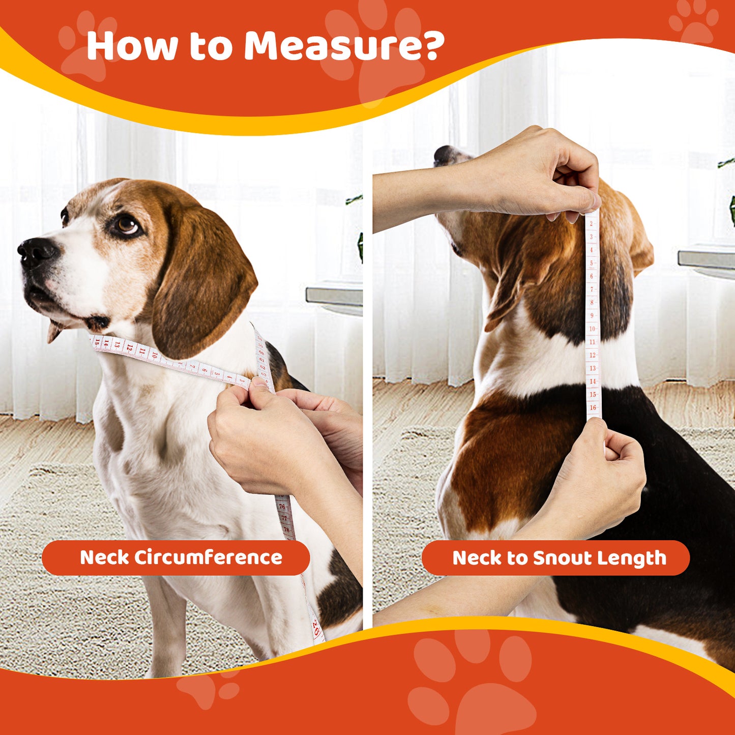Comfortable Recovery Collar for Dogs & Cats | Soft Double-Layer E-Collar