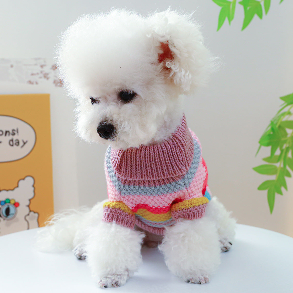 Multi-Stripe Knit Pet Sweater | Cozy Jumper for Small Dogs & Cats