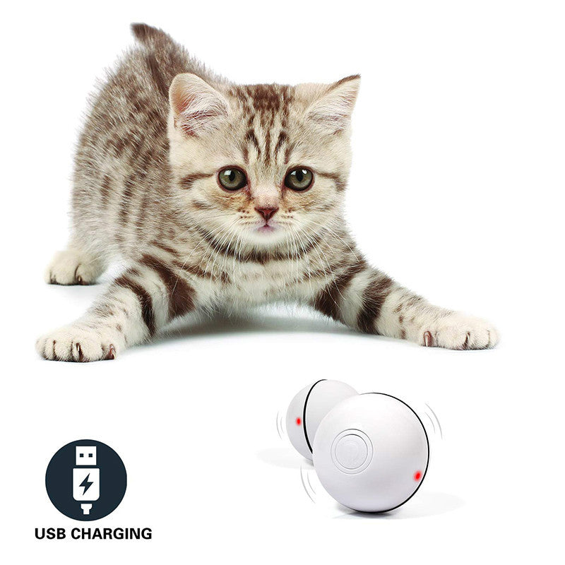 LED Laser Rolling Ball – Electronic Interactive Toy for Cats