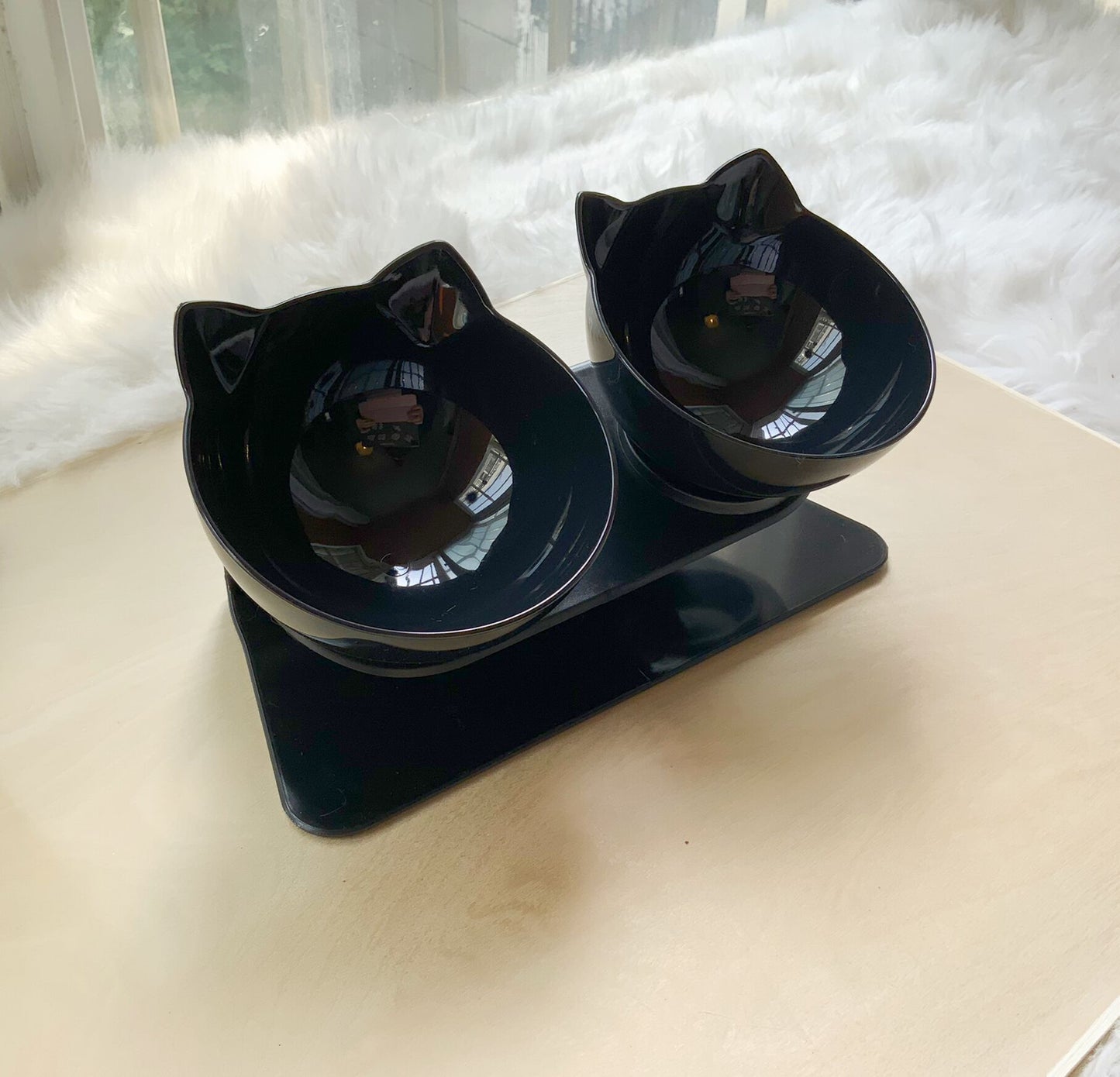 Elevated Double Bowls for Neck & Whisker Health