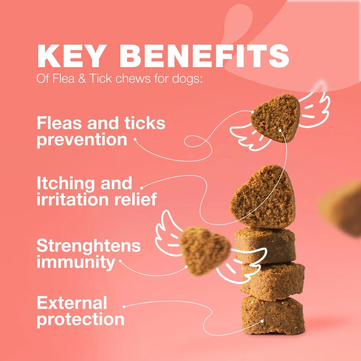 Chewia Flea & Tick Prevention Chews for Dogs | Natural Immune Support Treats