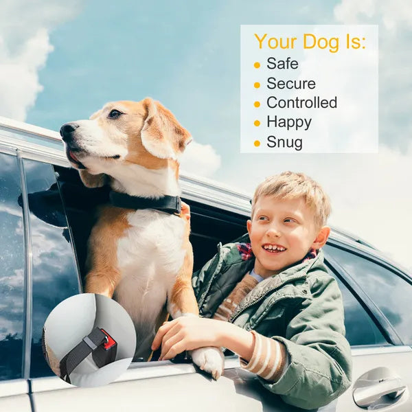 Adjustable Pet Seat Belt (2-Pack) | Tangle-Free Safety Leash for Dogs & Cats