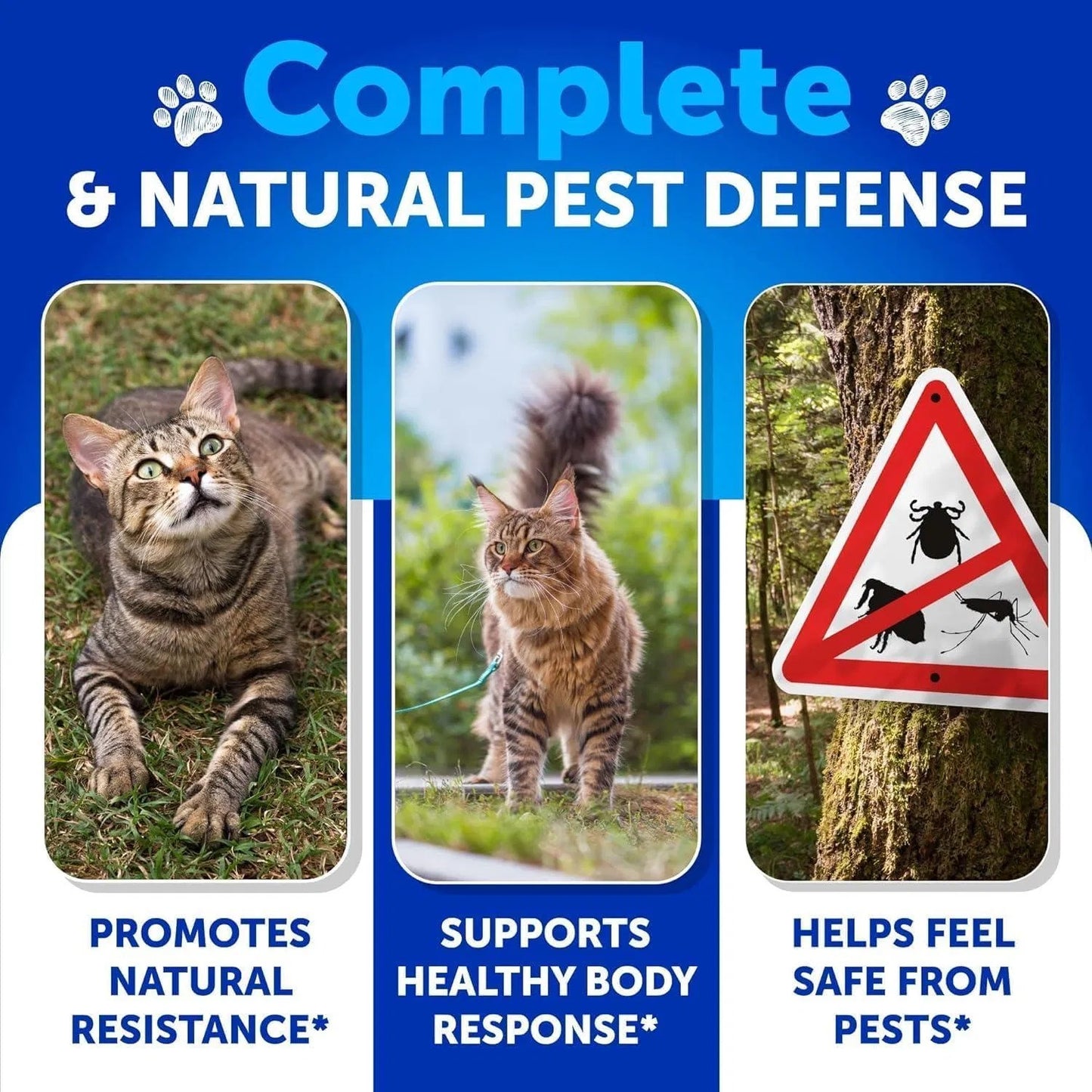 Artullano Flea & Tick Prevention Chews for Cats | Natural Supplement with B-Vitamins | 135 Soft Chews