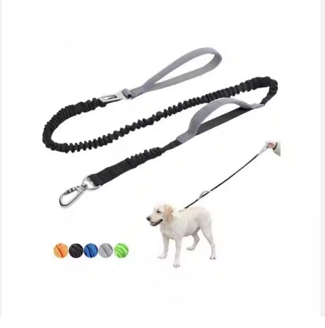 YT Shock-Absorbing Bungee Dog Leash | Dual Padded Handles (4-6 ft)