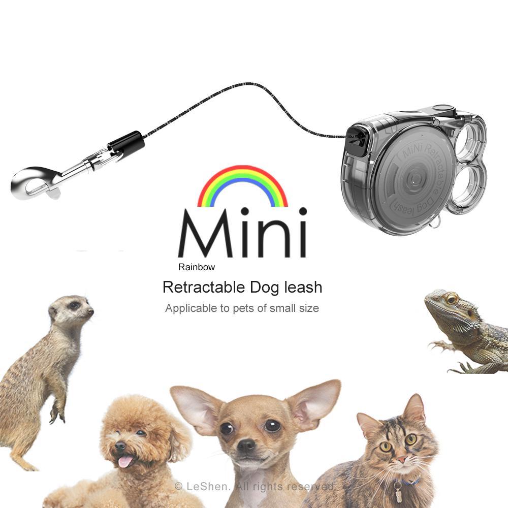 Rainbow Retractable Leash | Transparent & Reflective | For Small Dogs & Cats
