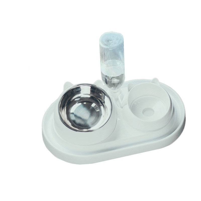 Ergonomic Elevated Pet Feeder: Tilted Stainless Steel Double Bowls for Dogs & Cats