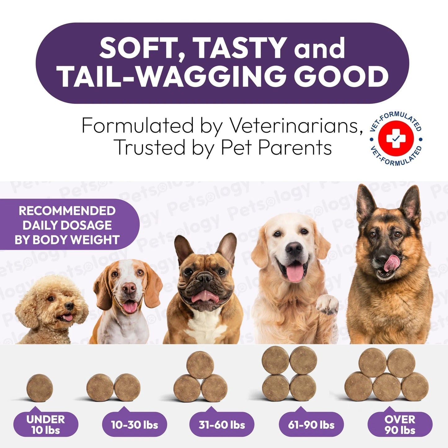 Petsology 25-in-1 Dog Multivitamin | Hip & Joint, Immune, Skin & Gut Support | 170 Chews