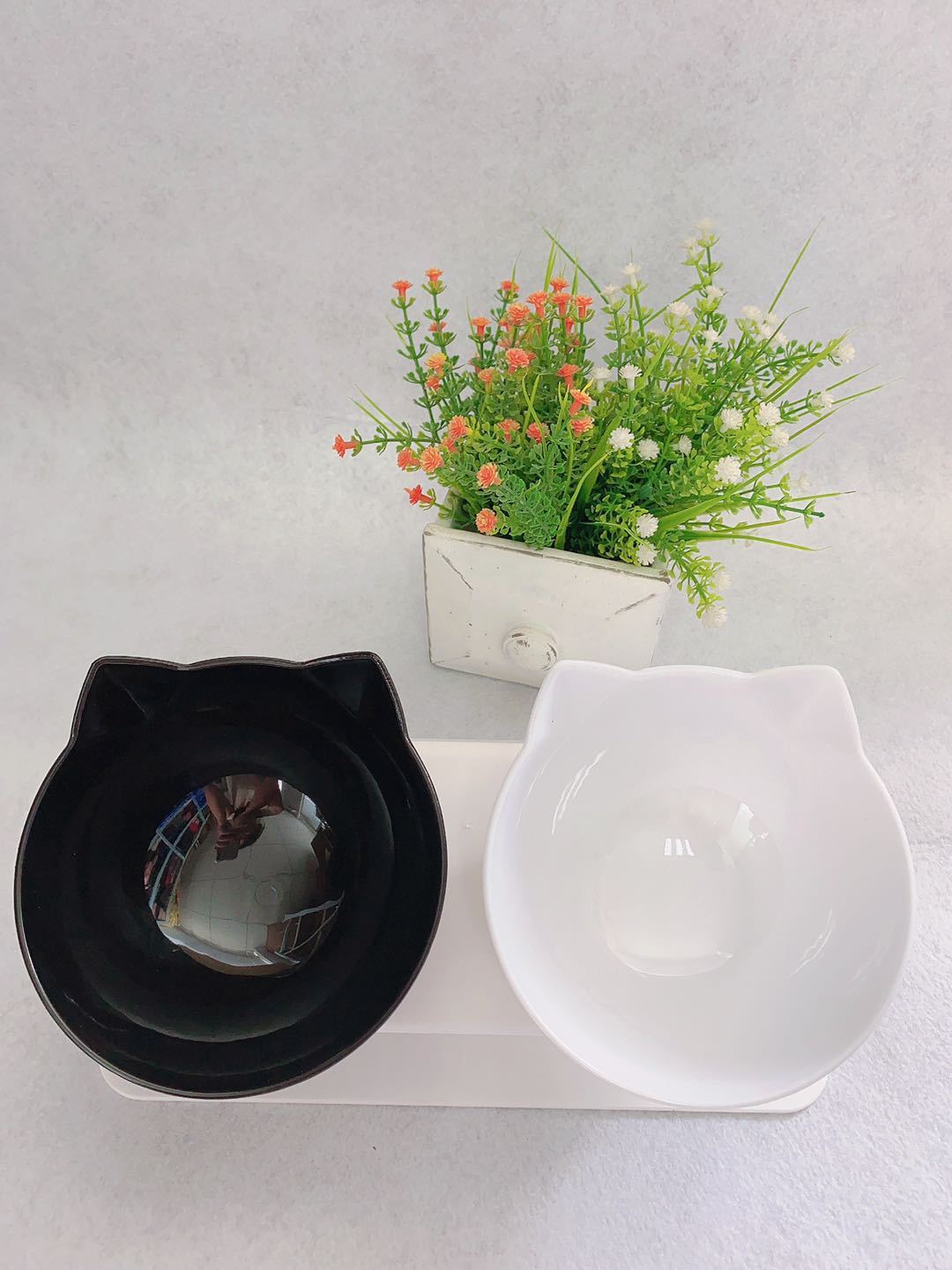 Elevated Double Bowls for Neck & Whisker Health