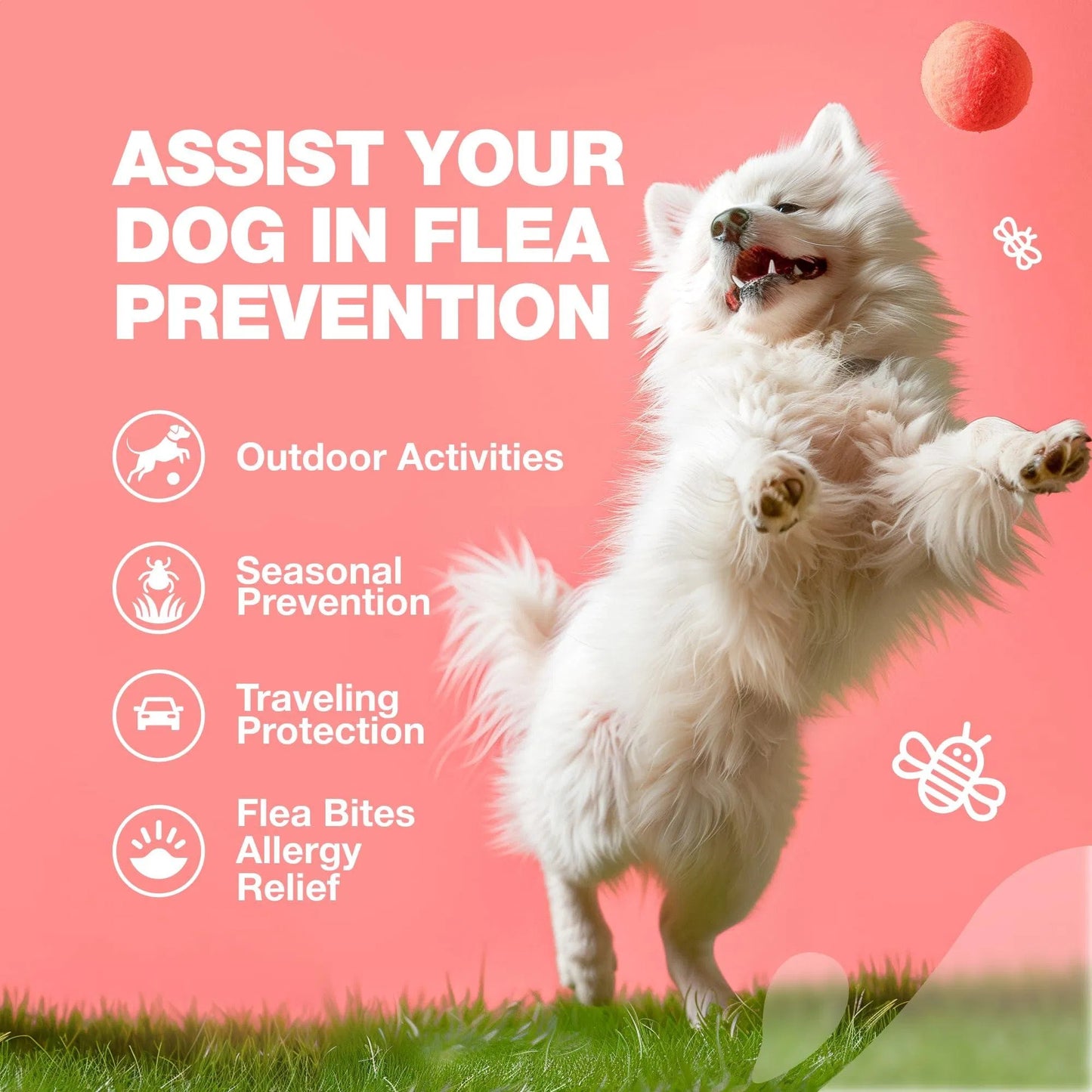 Chewia Flea & Tick Prevention Chews for Dogs | Natural Immune Support Treats