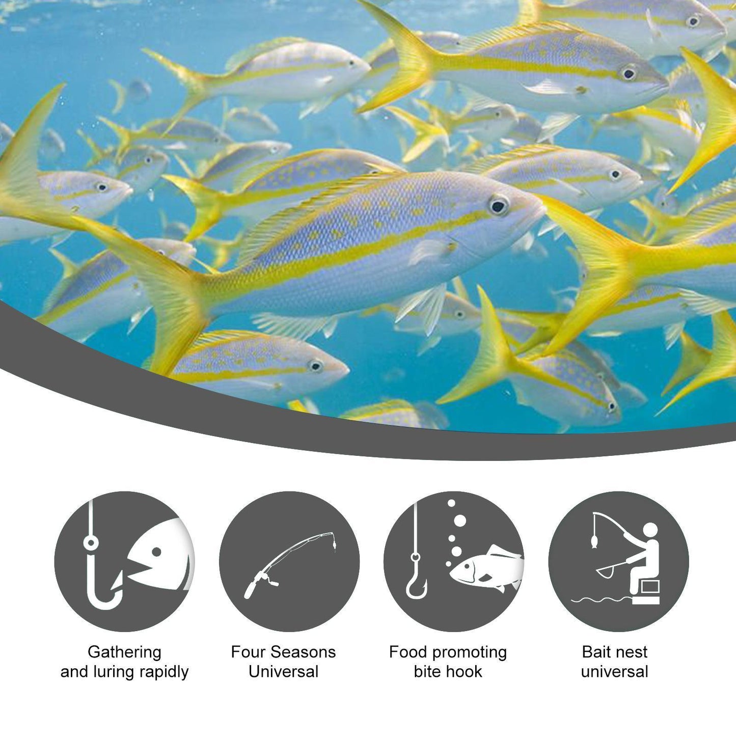 Yebang Sweet Corn Fishing Bait | High-Attraction Carp & Coarse Fish Bait