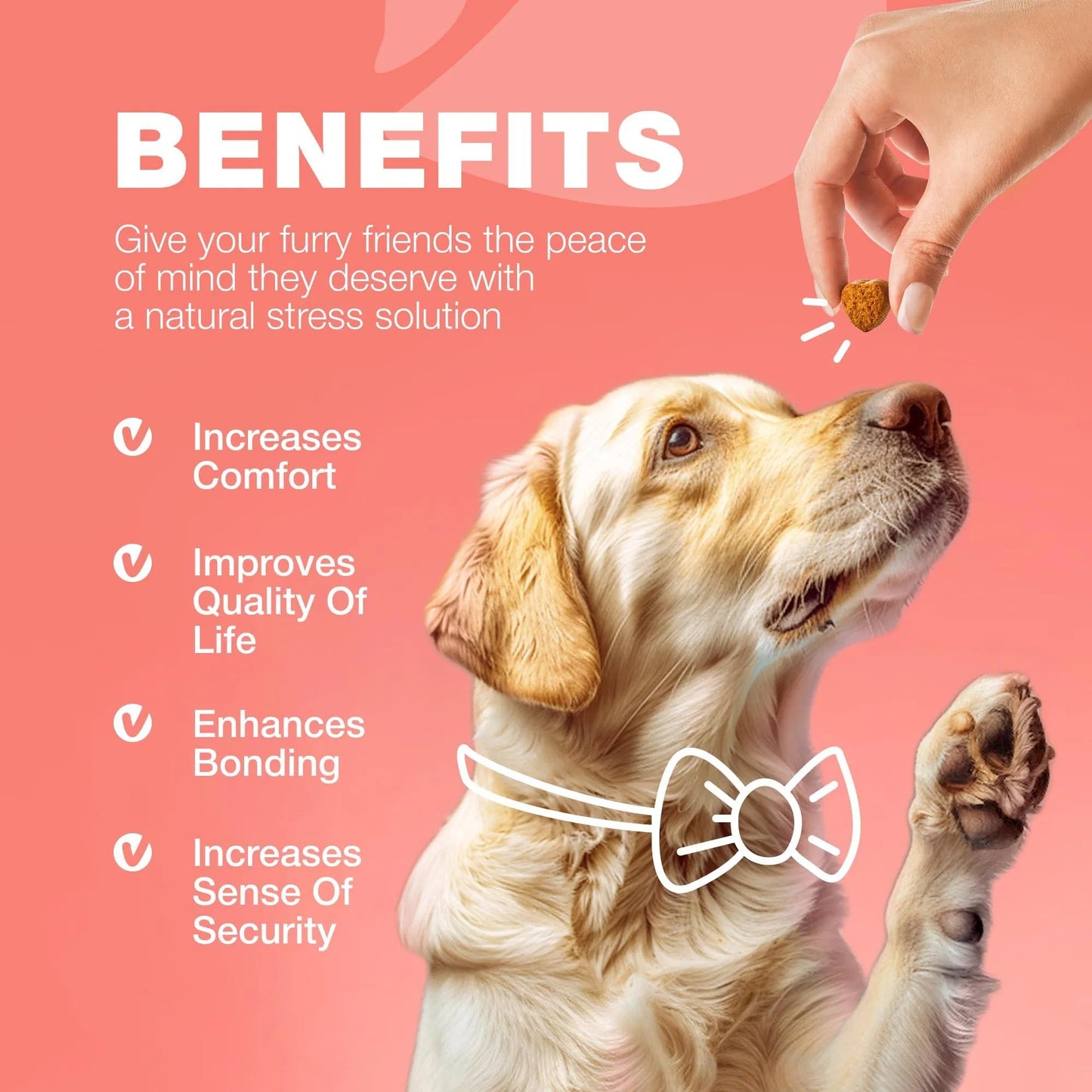 Chewia Flea & Tick Prevention Chews for Dogs | Natural Immune Support Treats