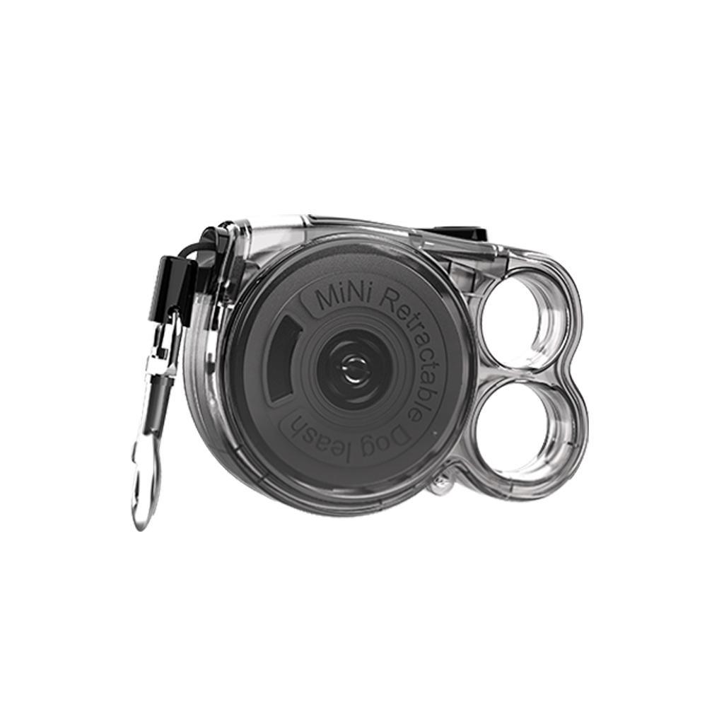 Rainbow Retractable Leash | Transparent & Reflective | For Small Dogs & Cats