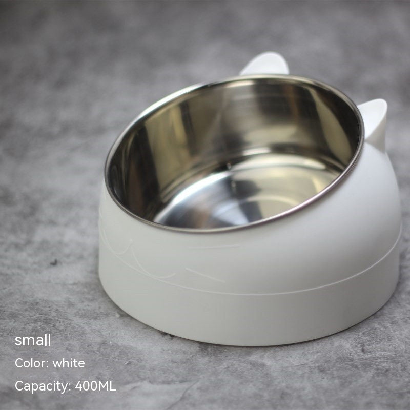 Ergonomic Elevated Pet Feeder: Tilted Stainless Steel Double Bowls for Dogs & Cats