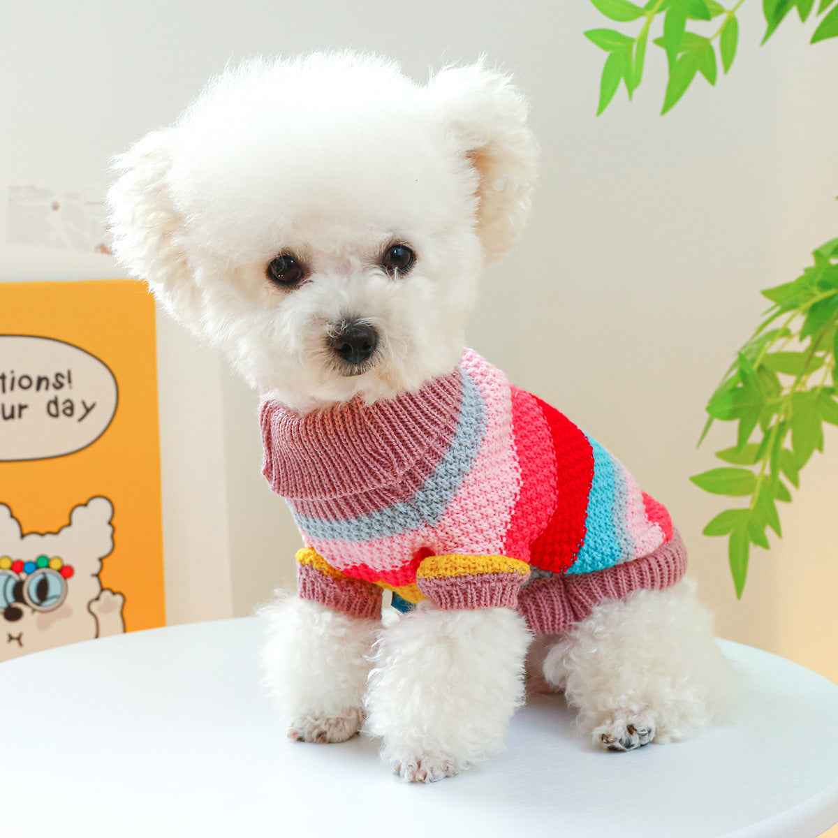 Multi-Stripe Knit Pet Sweater | Cozy Jumper for Small Dogs & Cats