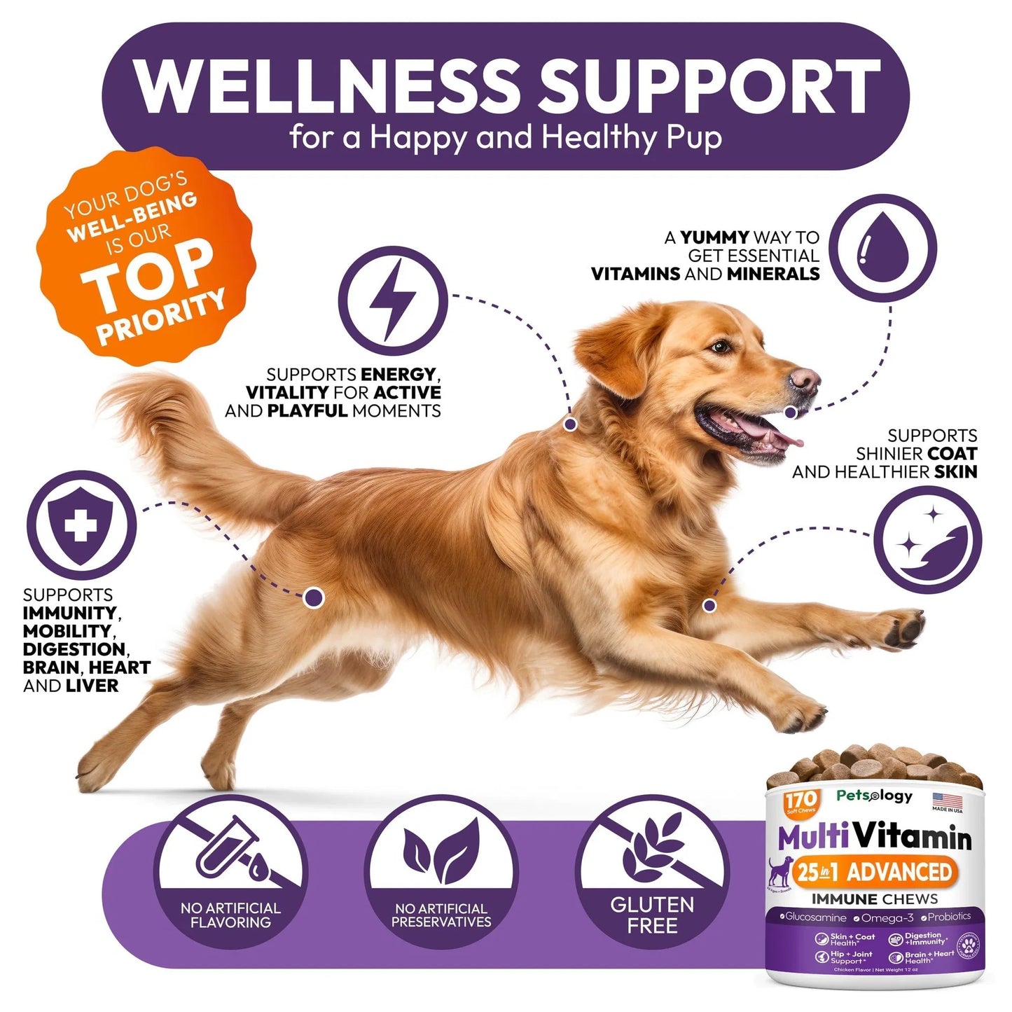 Petsology 25-in-1 Dog Multivitamin | Hip & Joint, Immune, Skin & Gut Support | 170 Chews