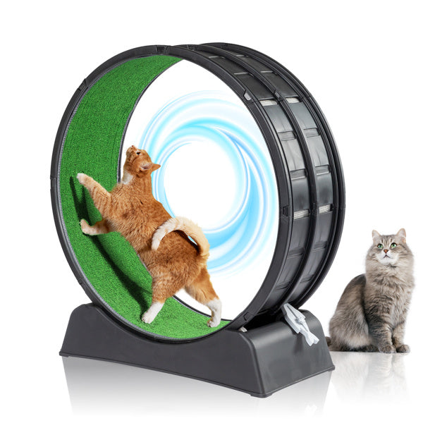 Black PP Cat Treadmill – 10kg Silent Running Exercise Wheel with Green Carpet & Safety Lock for Indoor Cats