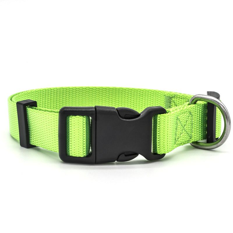 New Pet CollarPadded Dog & Cat Collar | Soft Neoprene-Lined Nylon Collar