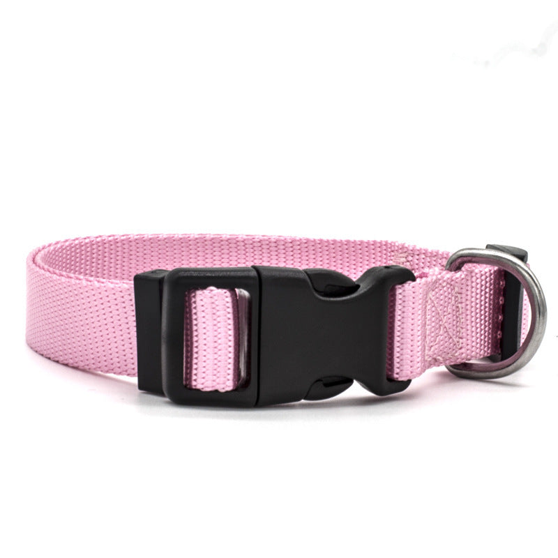 New Pet CollarPadded Dog & Cat Collar | Soft Neoprene-Lined Nylon Collar