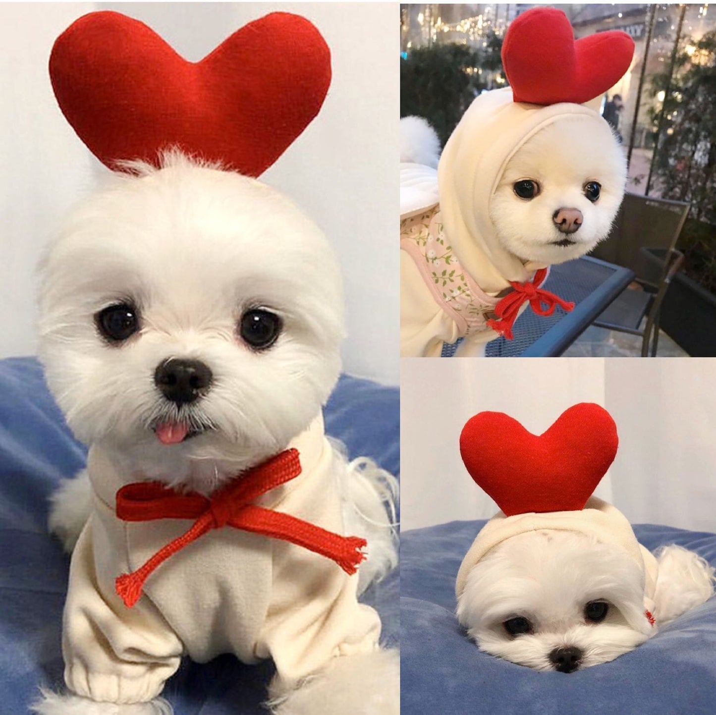 Cute Character Pet Hoodie | Warm Fleece Sweater for Small Dogs & Cats