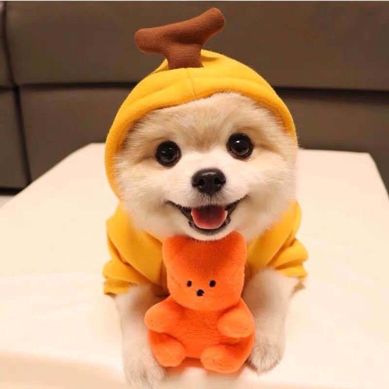 Cute Character Pet Hoodie | Warm Fleece Sweater for Small Dogs & Cats