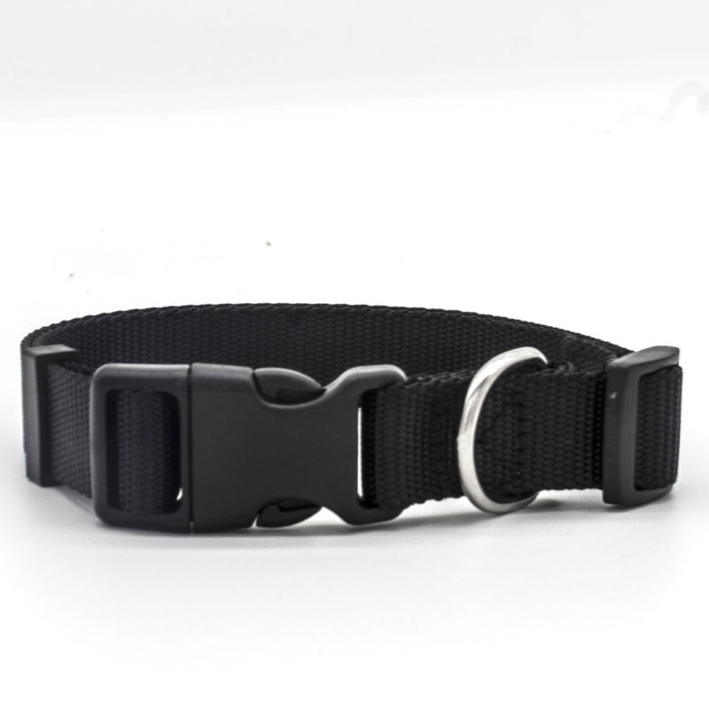 New Pet CollarPadded Dog & Cat Collar | Soft Neoprene-Lined Nylon Collar