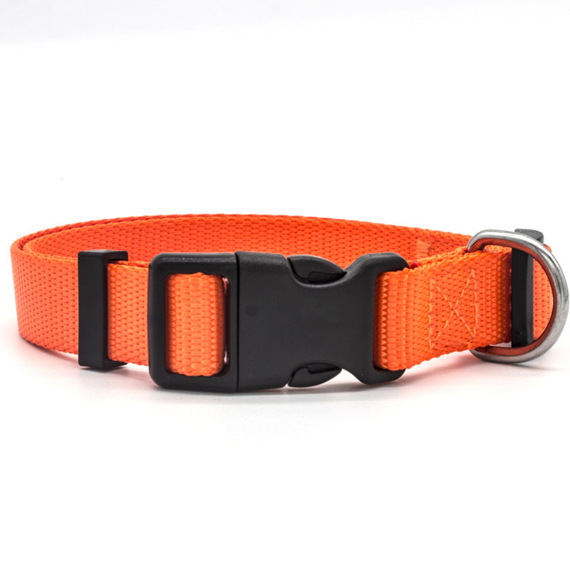 New Pet CollarPadded Dog & Cat Collar | Soft Neoprene-Lined Nylon Collar