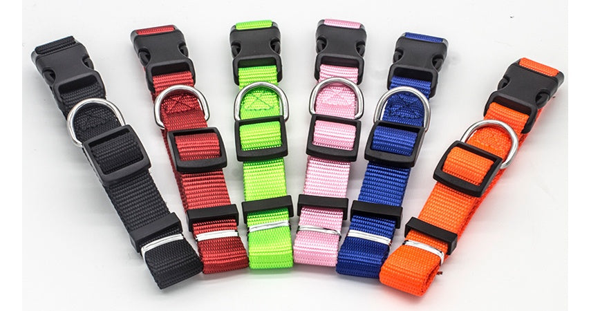 New Pet CollarPadded Dog & Cat Collar | Soft Neoprene-Lined Nylon Collar