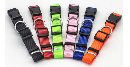 New Pet CollarPadded Dog & Cat Collar | Soft Neoprene-Lined Nylon Collar