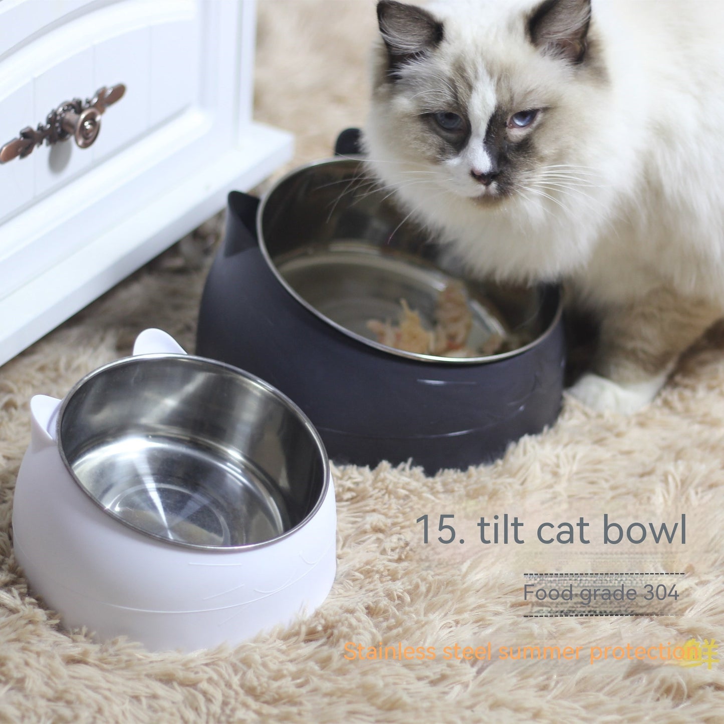 Ergonomic Elevated Pet Feeder: Tilted Stainless Steel Double Bowls for Dogs & Cats