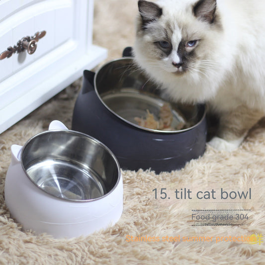 Ergonomic Elevated Pet Feeder: Tilted Stainless Steel Double Bowls for Dogs & Cats