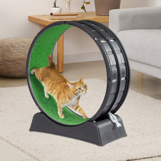 Black PP Cat Treadmill – 10kg Silent Running Exercise Wheel with Green Carpet & Safety Lock for Indoor Cats