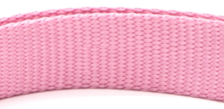 New Pet CollarPadded Dog & Cat Collar | Soft Neoprene-Lined Nylon Collar