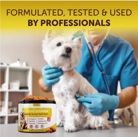 Kinpur Scoot Stopper Chews for Dogs | Anal Gland & Digestive Support with Pumpkin | 180 Soft Chews