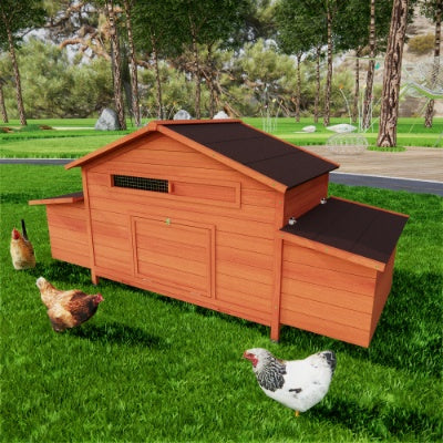 Large Wooden Chicken Coop with Dual Nesting Boxes | Outdoor Hen House