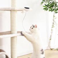 Electronic Motion Cat Toy – Interactive Rolling Ball with Real Fur Teaser
