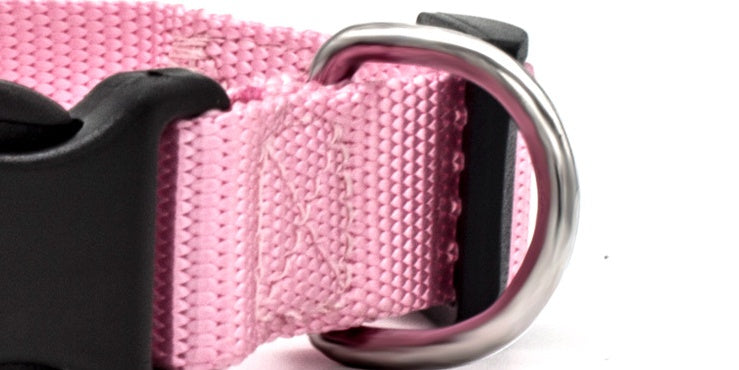 New Pet CollarPadded Dog & Cat Collar | Soft Neoprene-Lined Nylon Collar