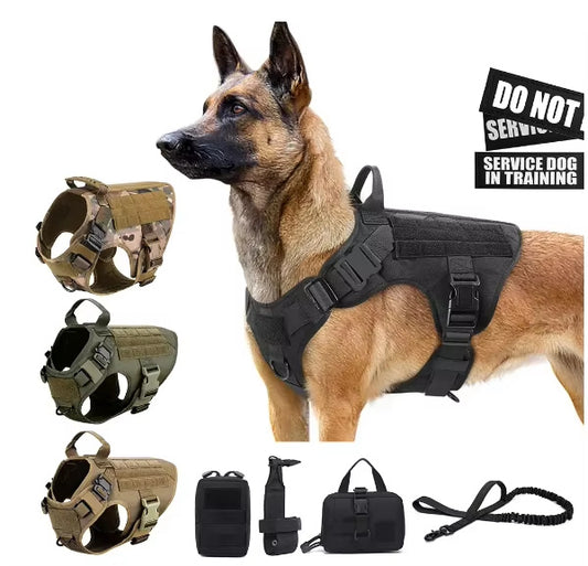 Tactical Dog Harness & Leash Set | 1000D Nylon MOLLE Vest