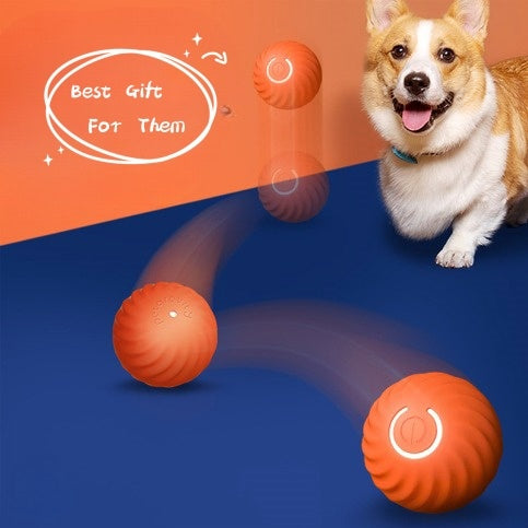 Durable Rubber Chew Ball for Dogs – Bite-Resistant Toy for Training & Play