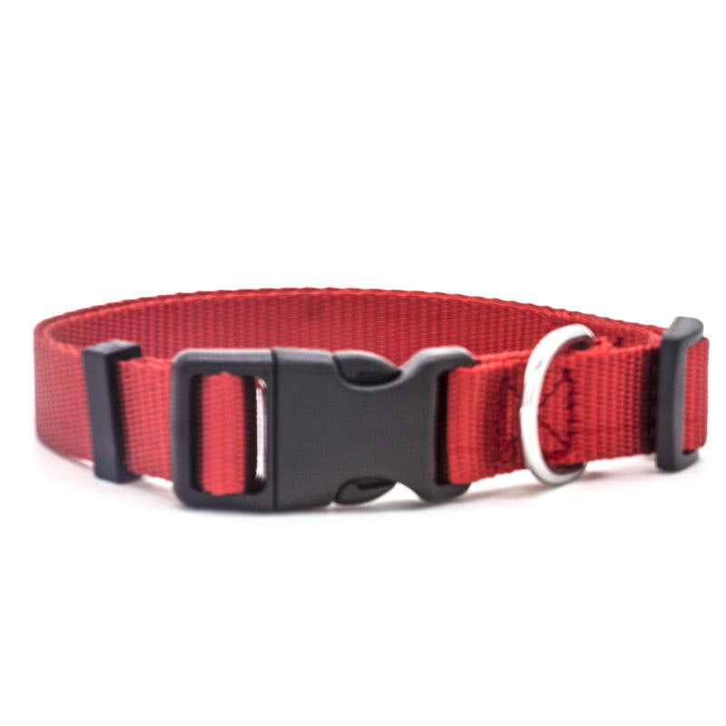 New Pet CollarPadded Dog & Cat Collar | Soft Neoprene-Lined Nylon Collar