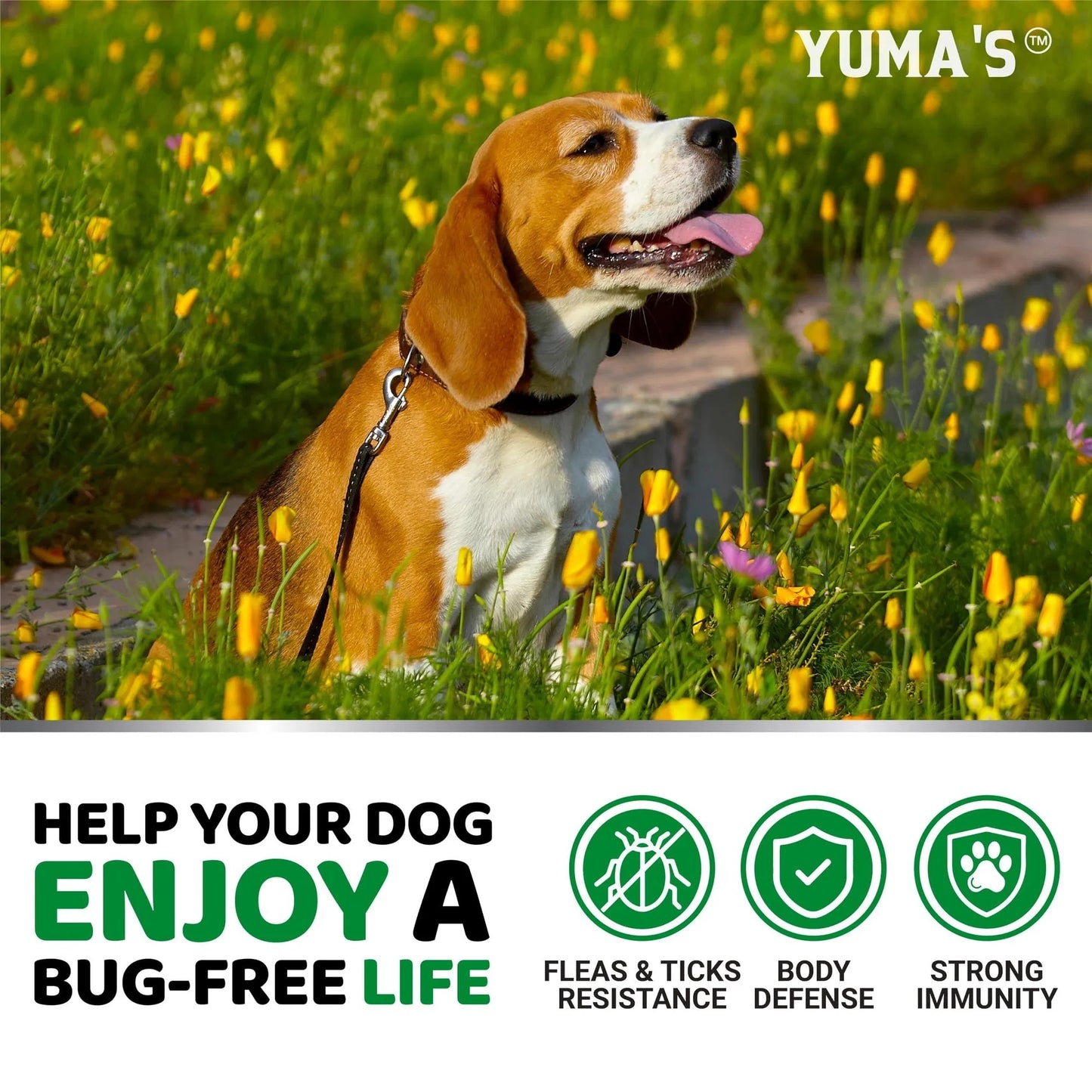 Yuma's Natural Flea & Tick Prevention Chews for Dogs | 170 Treats | Made in USA