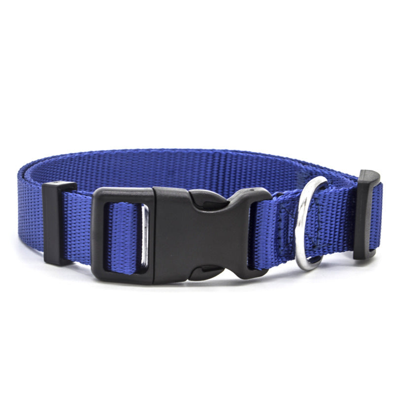 New Pet CollarPadded Dog & Cat Collar | Soft Neoprene-Lined Nylon Collar