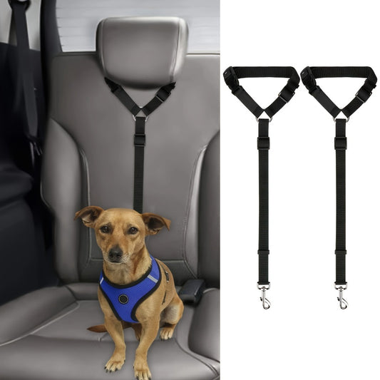 Matching Dog Collar and Leash Set | Durable & Comfortable Walking Set (2pcs)