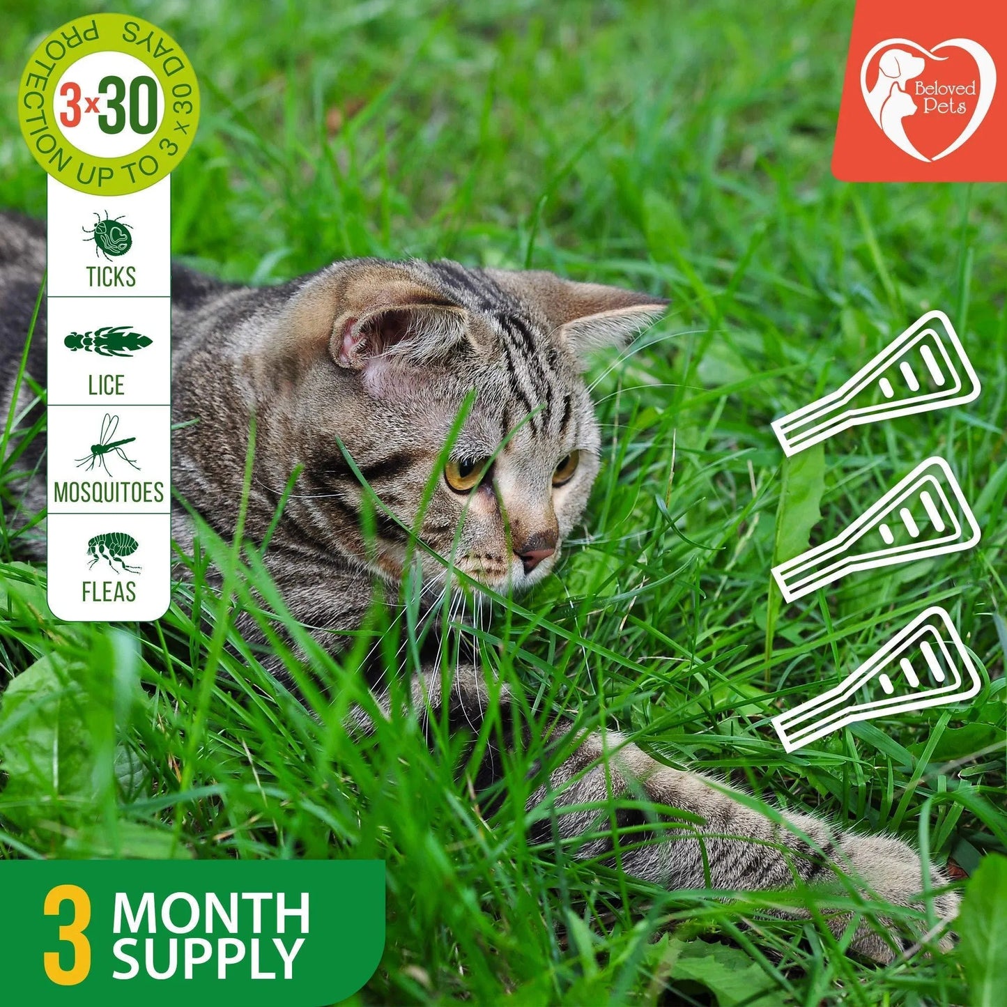 Beloved Pets Natural Flea & Tick Spot-On | 3-Month Supply for Dogs & Cats
