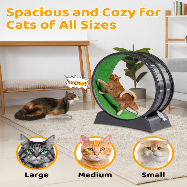 Black PP Cat Treadmill – 10kg Silent Running Exercise Wheel with Green Carpet & Safety Lock for Indoor Cats