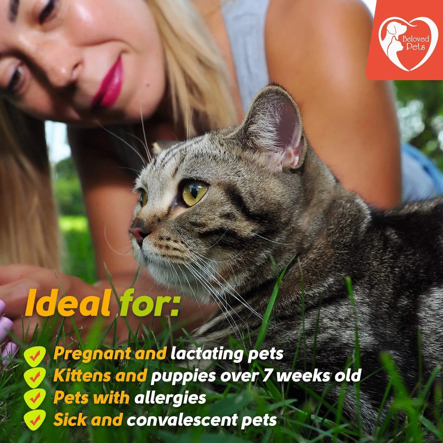 Beloved Pets Natural Flea & Tick Spot-On | 3-Month Supply for Dogs & Cats