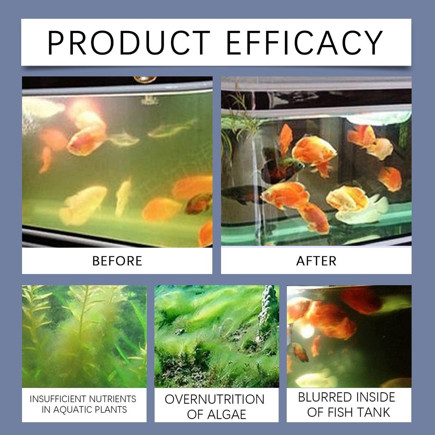 Yebang Aquarium Water Clarifier | Fast-Acting Cloudy Water Treatment